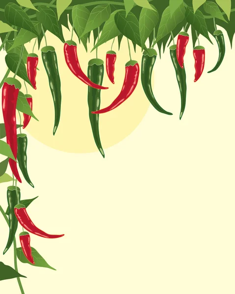 stock vector Chillies