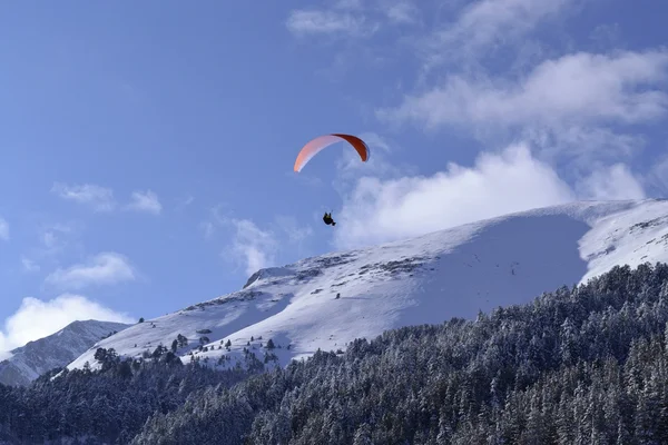 stock image Paraglider