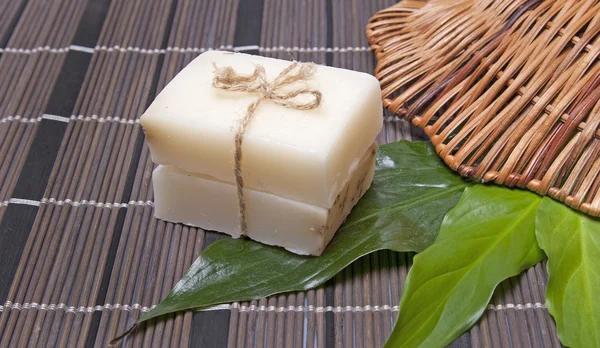 Piece of natural soap — Stock Photo, Image