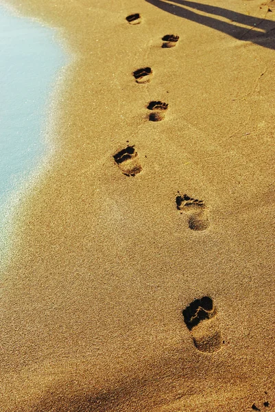 Пляжная прогулка — стоковое фото