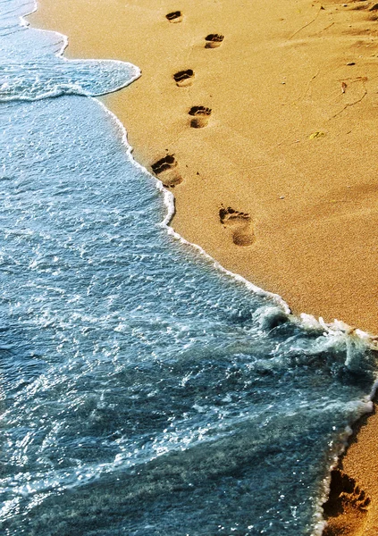 Пляжная прогулка — стоковое фото