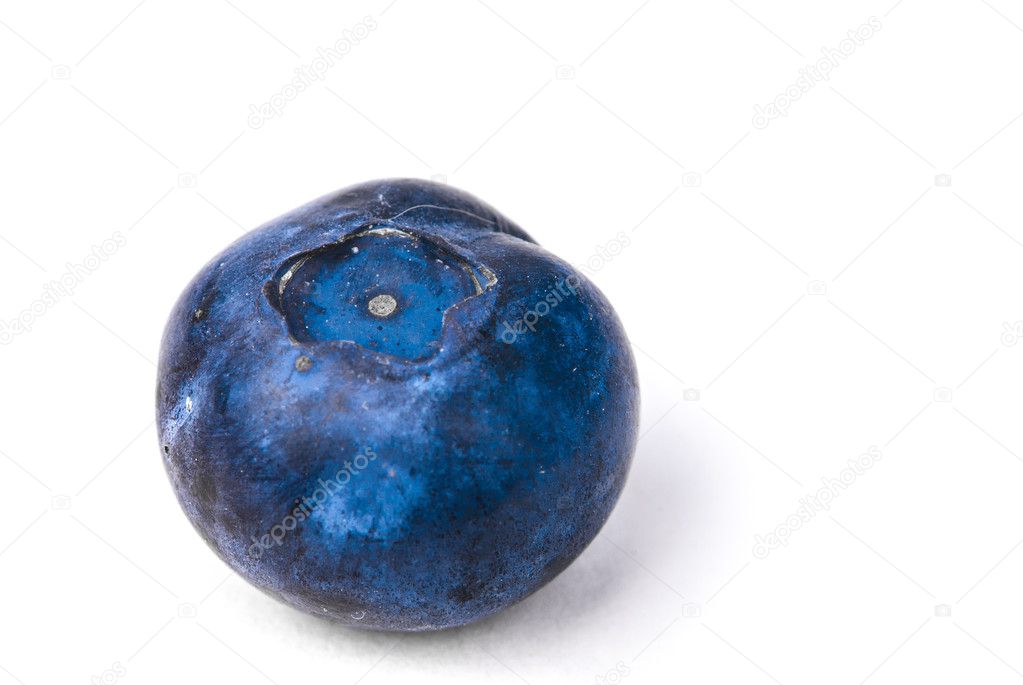 Blueberry in detail.
