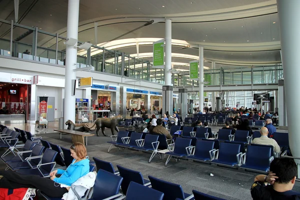 Waiting at the Gate — Stock Photo, Image