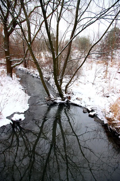 stock image Winter Stream