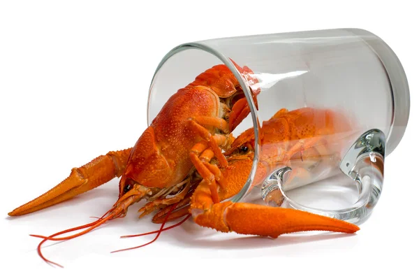 stock image Boiled crayfish in a beer mug.