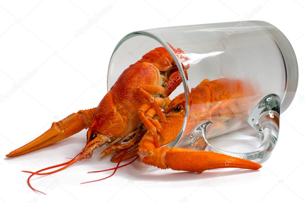 Boiled crayfish in a beer mug.