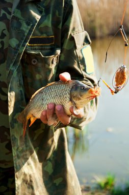 yakın çekim yakışıklı Fisher balık