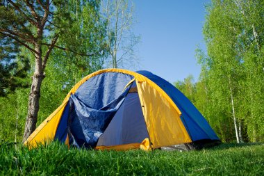 Colourful Camping Tent in the forest clipart