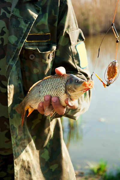 Close-up hands of fisher with the fish — Stock Photo, Image