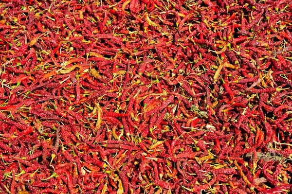 stock image Red organic pepper