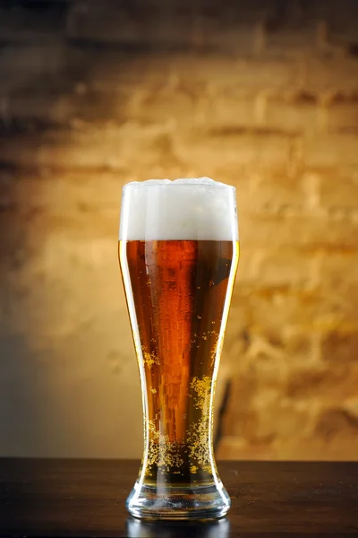 stock image Glass of beer