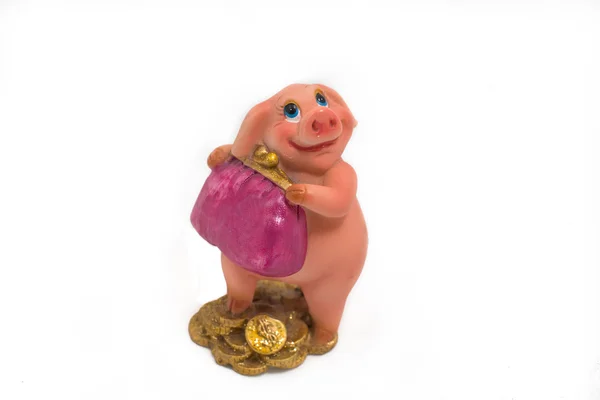 Funny pig with a bid purse — Stock Photo, Image
