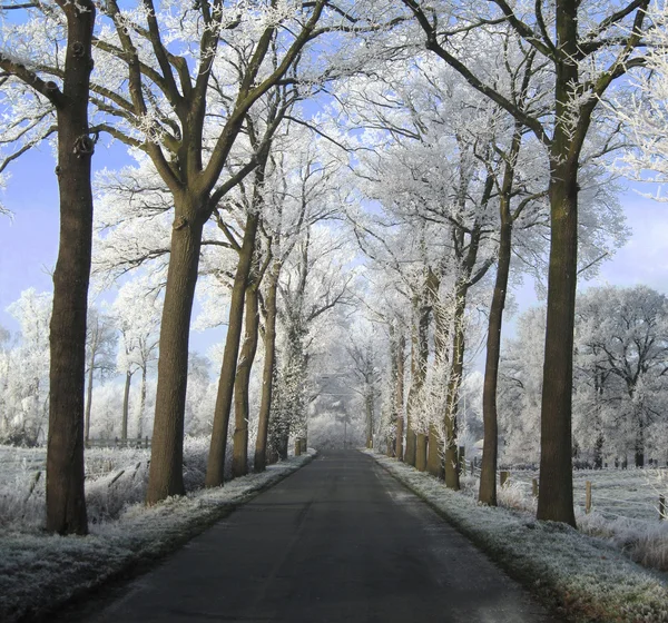 stock image Winter Belgium