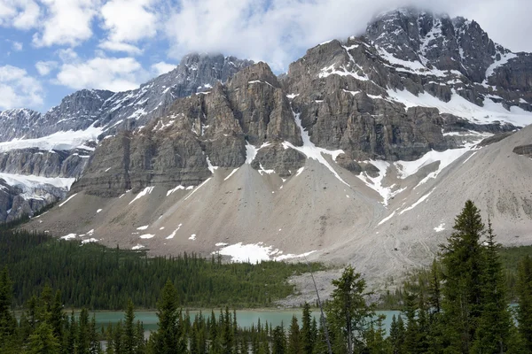 Lago Peyto en Alberta (Canadá) rodeado de bosques se encuentra bajo —  Fotos de Stock