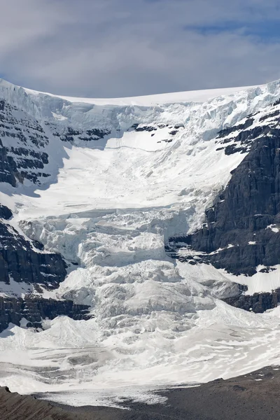 カナダのロッキー山脈の氷河の谷に達する. — ストック写真