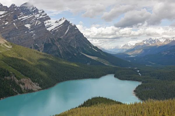 Mirando hacia abajo en el lago Peyto en Alberta (Canadá) rodeado de para —  Fotos de Stock