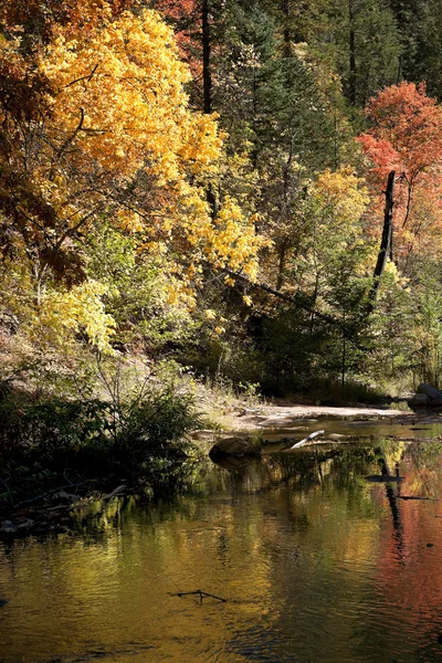 Forested border of Oak Creek canyon shows its fall colors twice — Stock Photo, Image