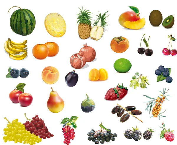 Frutas y bayas se aíslan sobre un fondo blanco, natural — Vector de stock