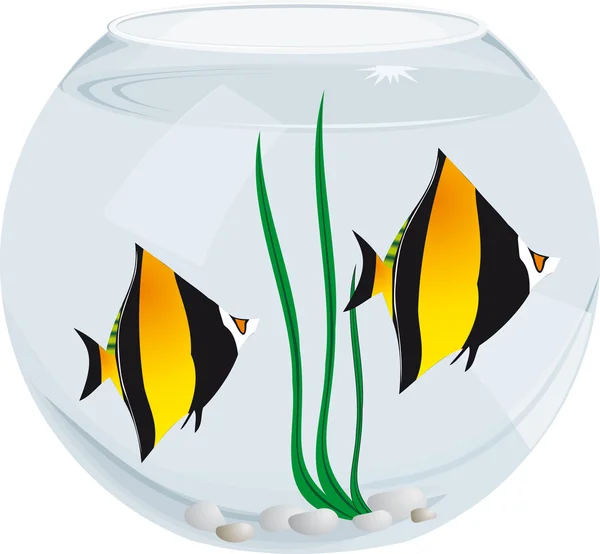 Akvarijní ryby — Stockový vektor