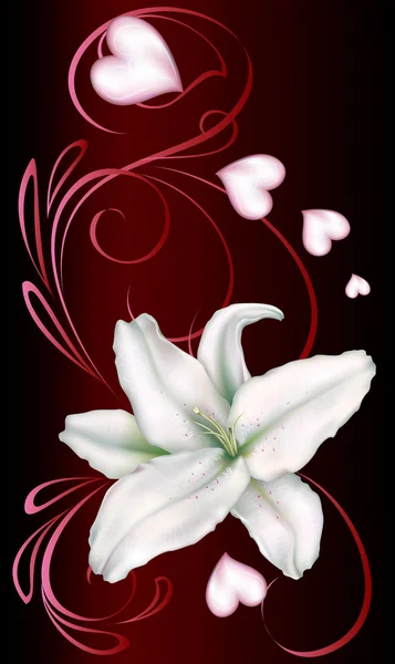 Weiße Lilie und Herz — Stockvektor