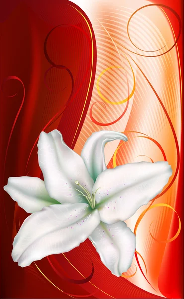 Lily sur un fond rouge-orange — Image vectorielle