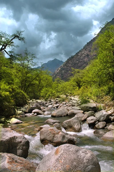 stock image Mountain river, Himalayas