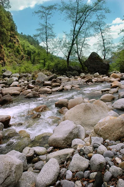 Dağ nehri