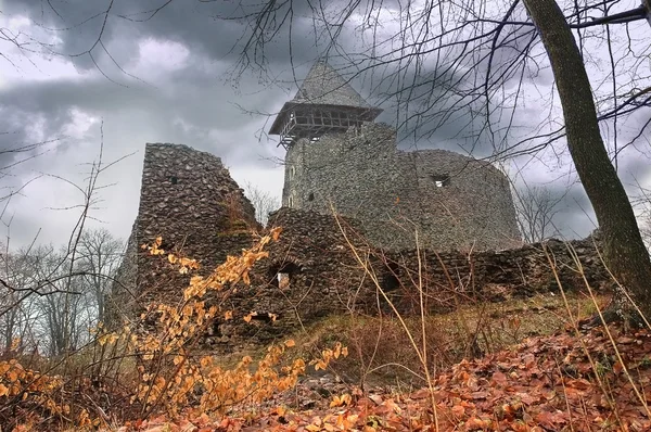Невицкий замок, Западная Украина — стоковое фото