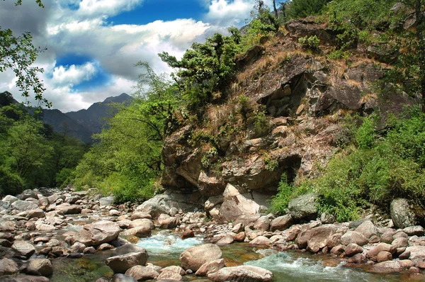 Rio Montanha, Himalaia — Fotografia de Stock