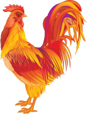 Rooster red-orange clipart