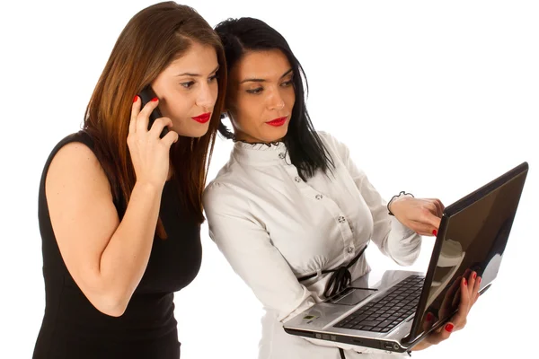 2 бизнес-женщины, работающие на ноутбуке — стоковое фото