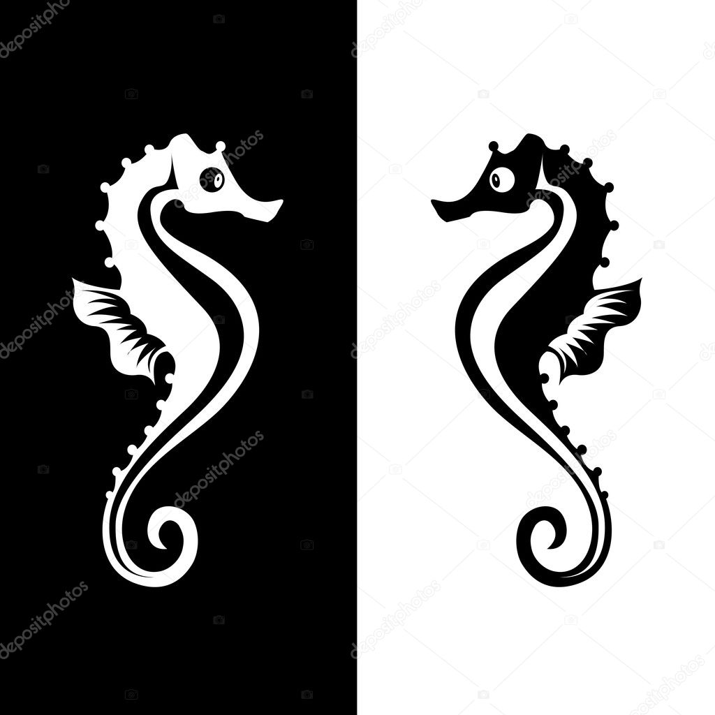 Vector seahorse isolated on white and black background