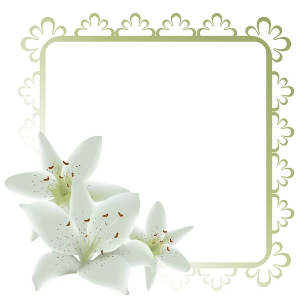 Floral frame with lily flowers — Stock Vector