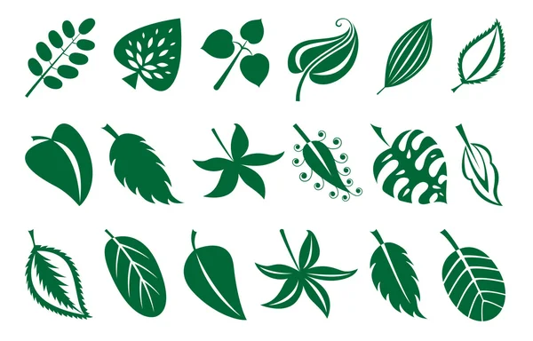 Serie di foglie — Vettoriale Stock
