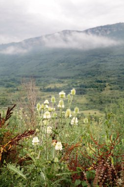 Balkan Mountains clipart