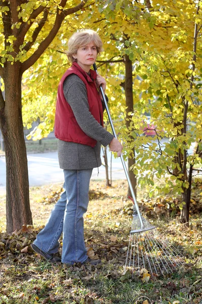 Höst — Stockfoto