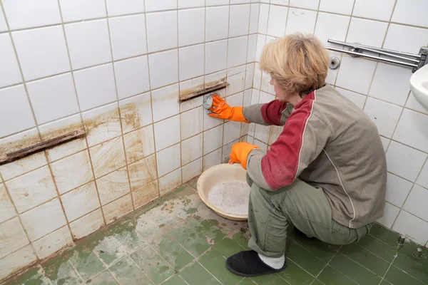 Mujer de limpieza —  Fotos de Stock