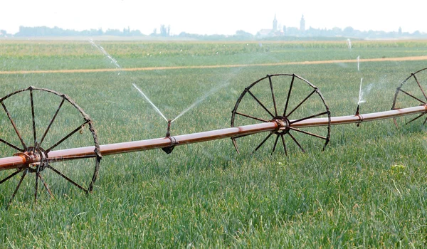 Watering of field — Stock Photo, Image