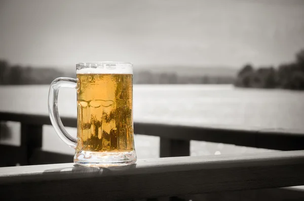 Piwo w płot — Zdjęcie stockowe