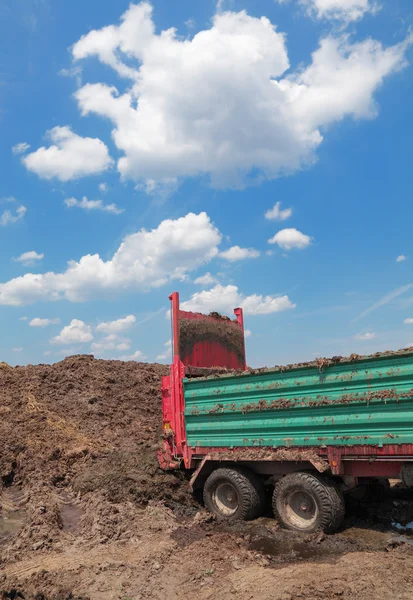 Agricoltura — Foto Stock