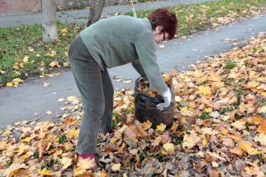 Leaves picking clipart