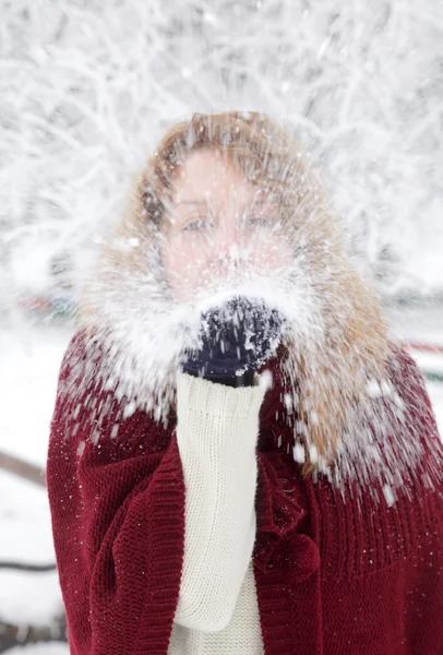 Invierno —  Fotos de Stock