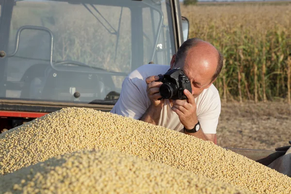 Photographing harvest — Stock Photo, Image