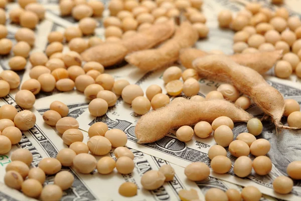 Soy and money — Stock Photo, Image