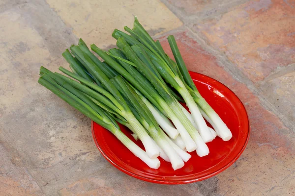 Young onion — Stock Photo, Image