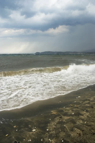 stock image Summer storm