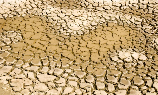 Засуха — стоковое фото