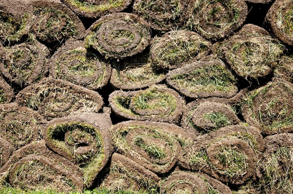 Rolled grass — Stock Photo, Image