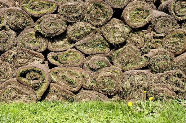 Раскатанная трава — стоковое фото