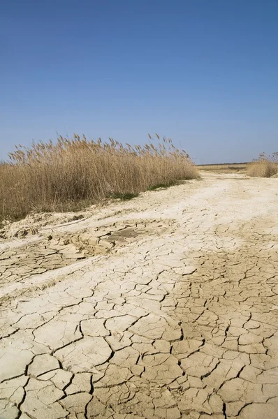 Stock image Moor landscape